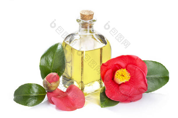 山茶花油瓶美容, 护肤, 健康和药用