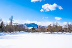 美丽的风景与树在雪冬天季节