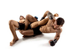 两名专业拳击手拳击查出在白色演播室背景