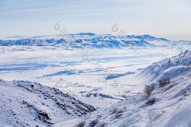 中国新疆北疆，新江市，松林冰天雪地