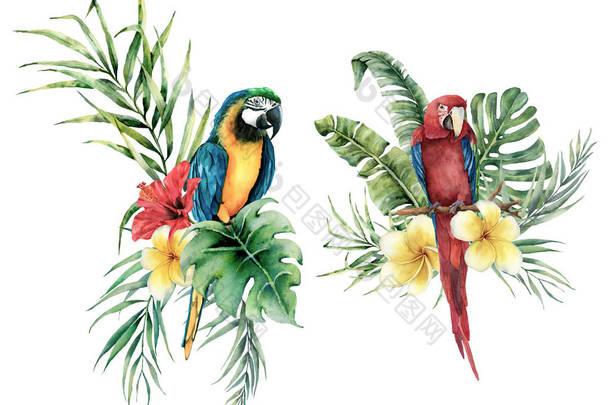 水彩热带设置与鹦鹉和花束。手绘的鸟，羽状鸟和木薯。在白色背景上隔离的花卉标签。植物插图。设计问候语模板.