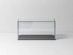 白色背景的水平玻璃盒，3D 渲染