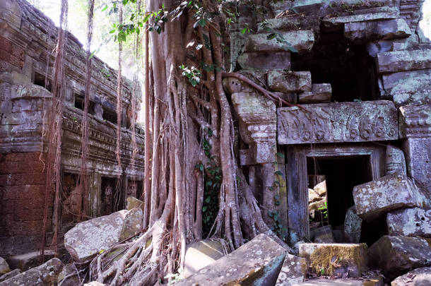 热带雨林中的古老破旧<strong>建筑</strong>。树木<strong>生长</strong>在高棉帝国废弃的<strong>建筑</strong>物附近.