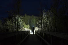 人剪影照明树木在森林在夜间