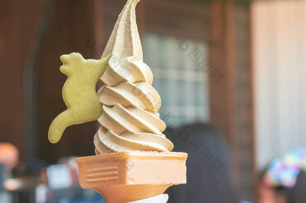 特写男子手拿宝涌茶冰淇淋与猫形饼干附近的毛孔贡多拉站.