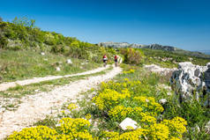 山地车手驾驶在Istria山西索尔，乌卡公园