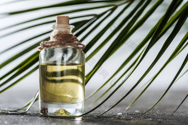 瓶的选择性焦点与椰子油靠近绿棕榈叶
