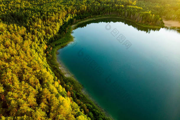 盖拉湖美丽绿色水域的鸟瞰图。风景秀丽的翡翠湖被松树林包围的鸟瞰图.