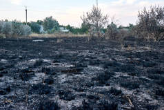从火中烧了土。野火、自然灾害、灾害、环境破坏概念。球场上燃烧的草和植被.