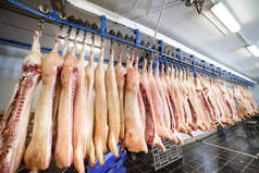 在食品加工厂冰箱房内切成两半的猪胴体