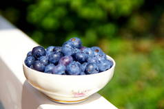 新鲜采摘的蓝莓在白色木梁上的老式陶瓷碗中。无麸质蓝莓在白色木制栏杆。浆果减肥饮食。绿色花园背景，美食主题