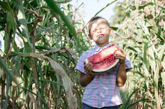 8岁的男孩站在村里的玉米地里，手里拿着一大块西瓜，阳光照在他眼里，一个小男孩在夏天微笑着，复制空间