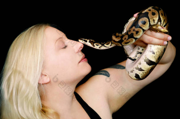 女孩与皇家Python蛇的肖像。美丽的女人手里拿着蛇，在镜头前摆姿势。外来热带冷血爬行动物，球蛇（Python）类蛇.
