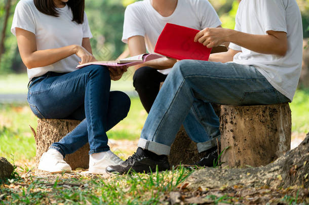 在大学或学校园区的团体项目中学习的青年学生团队。快乐学习、社区团队合作和青年友谊理念.