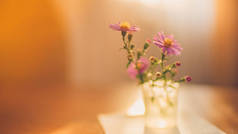精美的紫色花朵，菊花插在木制的阳光明媚的桌子上的一个小花瓶里.