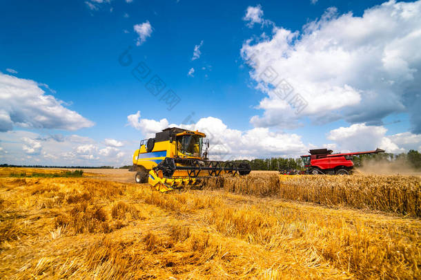 农业<strong>机械</strong>收割庄稼在田里,特殊技术在起作用. 农业概念。 成熟的作物全景。 谷物采集。 <strong>重型机械</strong>，蓝天.
