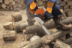 链锯在行动切割木材。 用锯子、灰尘砍柴的人