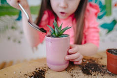 小女孩在另一个罐子里重新种植了一个家庭植物