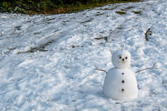 一张雪人在雪地上的照片。 Burnaby Mountain Bc加拿大