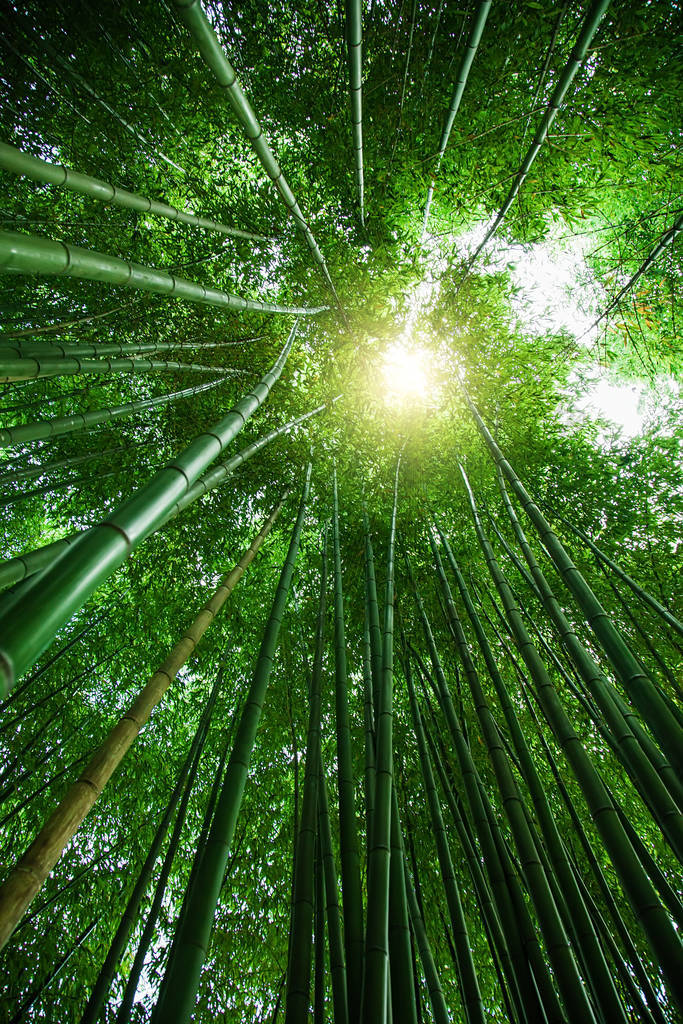 宣纸背景上竹图片-包图网企业站