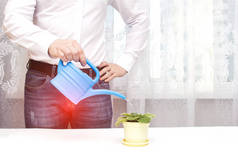 A male office worker is watering a flower from a watering can in the office, a red spot in the groin