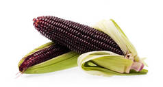 在白色背景上分离的新鲜紫色玉米