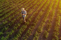 大豆农民与无人机遥控器在外地。在农业和智能农业中使用现代创新技术.