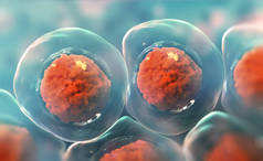 显微镜下的细胞干细胞的研究。细胞疗法Cellular Therapy.细胞分裂。浅色背景的3D说明