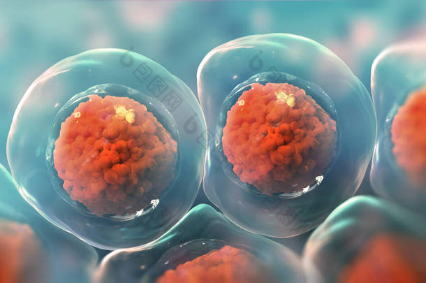 显微镜下的细胞<strong>干细胞</strong>的研究。细胞疗法Cellular Therapy.细胞分裂。浅色背景的3D说明
