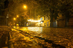雨天的夜晚,在一条黄昏的街道上的湿人行道上.秋天的天气.