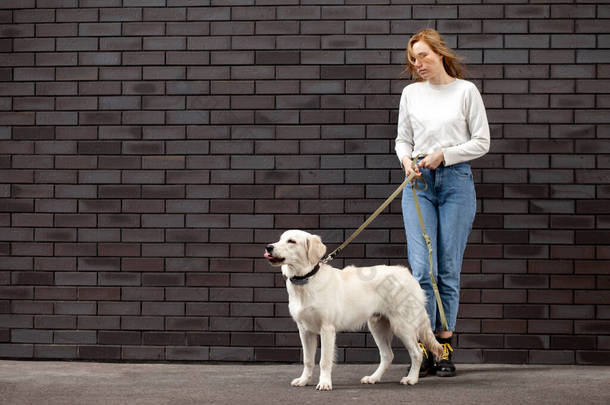 一个年轻美丽的都市姑娘，带着一只狗站在街上靠墙站着，一个带着一只金毛猎犬的女人，抄袭着空间