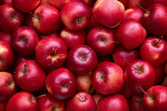 满满一帧红苹果.市面上新鲜的红苹果.