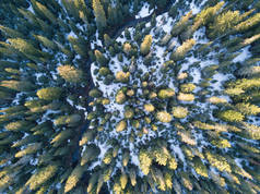 空中俯瞰着覆盖着积雪的冬季森林.无人驾驶摄影。全景图像美丽的霜冻树，圣诞佳节，新年快乐.