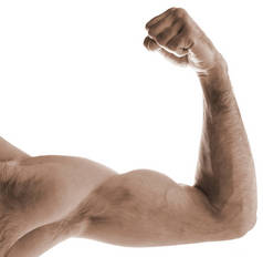 肌肉男的胳膊和肩膀弯曲。男人表现出手臂肌肉。与白人背景隔离