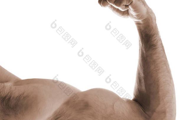 肌肉男的胳膊和肩膀弯曲。男人表现出手臂肌肉。与白人背景隔离