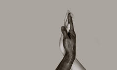 黑白照片一种黑白照片，其中黑人男女的手触摸手掌，相互交织在一起种族间友谊和尊重的概念。空间复制，灰色孤立的背景