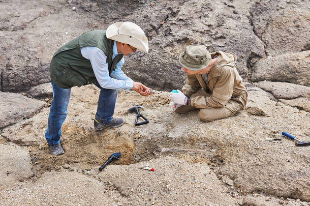野外探险队中的两位考古学家或古<strong>生物</strong>学家讨论了他们挖掘的古代<strong>骨骼</strong>