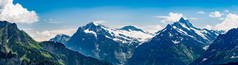 瑞士，Grindelwald山谷、湿地角和绿色阿尔卑斯山的全景