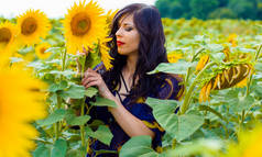 迷人的年轻黑发女子在向日葵的草地上，在阳光灿烂的金色田野里，快乐地生活着
