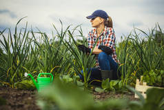 女农学家检查生态农场大蒜的生长速度.