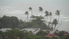 Pabuk台风，泰国海洋海岸。自然灾害，眼墙飓风。强烈的极端旋风刮倒了棕榈树.热带洪水泛滥雨季，强烈热带风暴天气，雷暴
