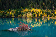 伊塞克山湖畔秋天的心情黄树倒映在碧绿的水中.哈萨克斯坦
