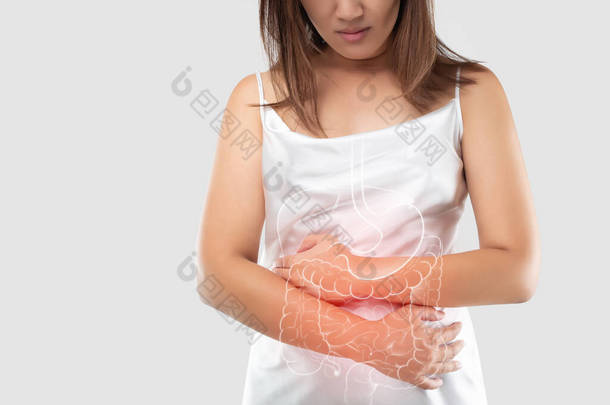 女性身体的肠道和内部器官在灰色背景和左侧空间中的图解。医疗和保健的概念.