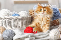 一只带条纹的小猫咪坐在装有纱线球的篮子里