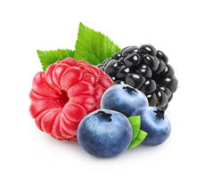白莓混合了孤立的蓝莓、覆盆子和黑莓，背景为白色