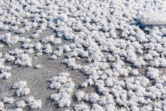 雪白的背景，结冰的水晶和卷曲的雪花的特写。冬天是一个寒冷的季节，有着耀眼的白色，明亮的颜色