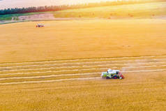 夕阳西下两个联合收割田里的小麦。在田里工作的收割机。无人机联合收割机农业机械的顶部视图