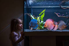 2-3岁的孩子在水族馆的大鱼缸里观看鱼的游动.