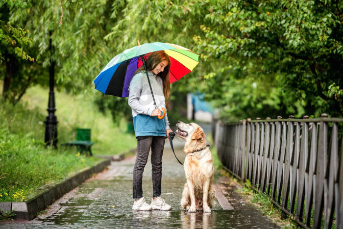 小女孩和狗在雨中散步图片-包图网企业站