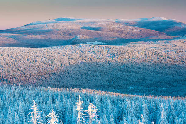 吉兹拉山脉的全景，从伊泽拉峰俯瞰着结冰的云杉林、树木和小山。冬季靠近滑雪场,蓝天背景.Liberec，捷克共和国，北波西米亚